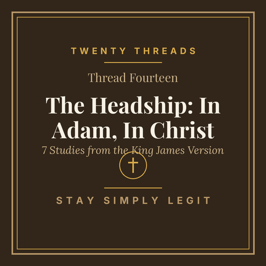 The Headship: In Adam, In Christ cover
