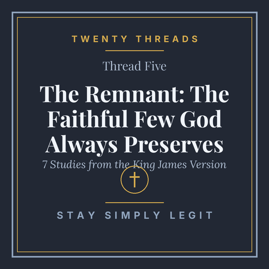 The Remnant: The Faithful Few God Always Preserves cover