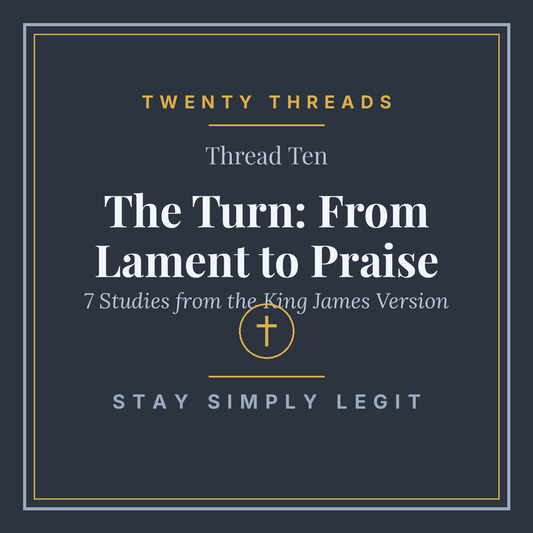 The Turn: From Lament to Praise cover