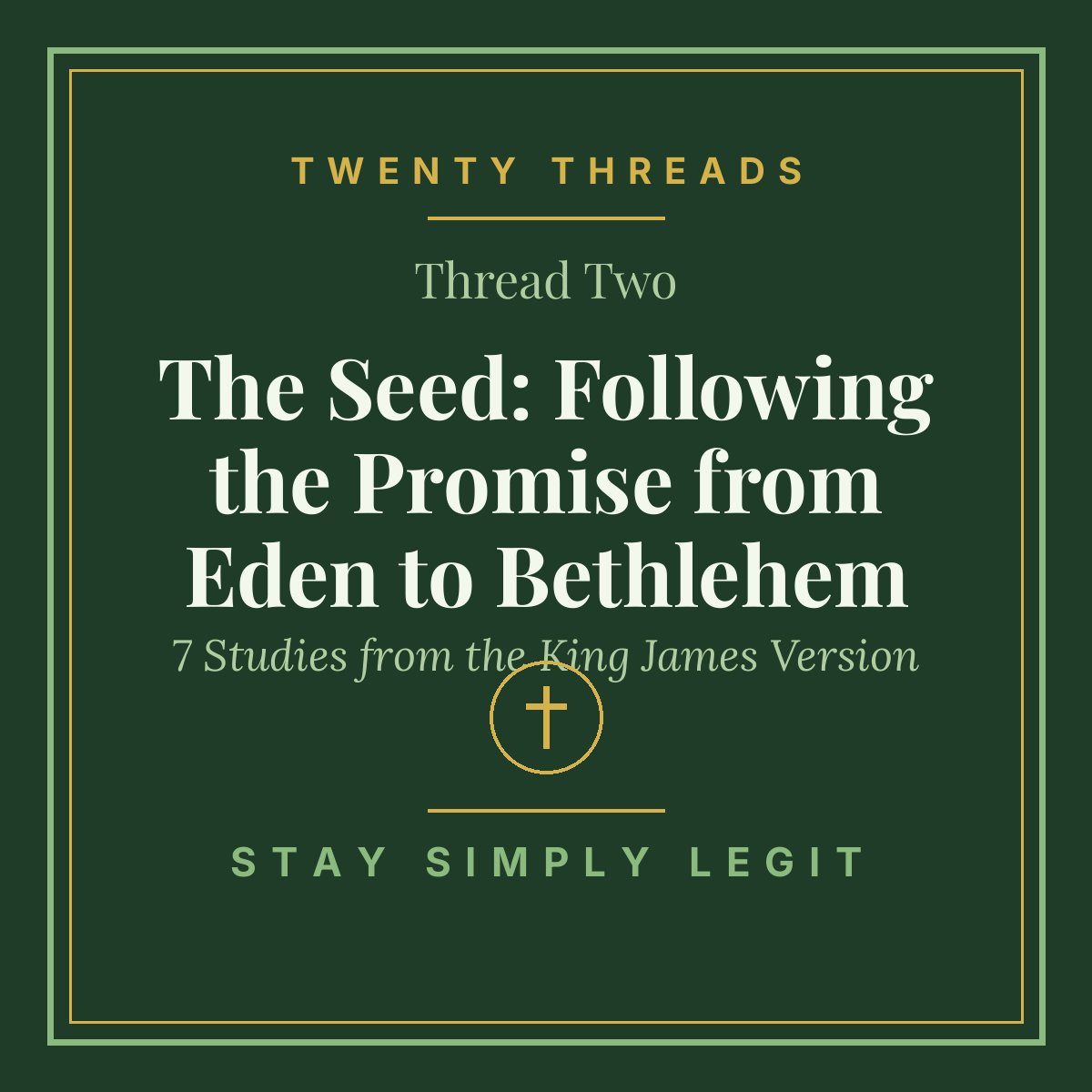 The Seed: Following the Promise from Eden to Bethlehem cover