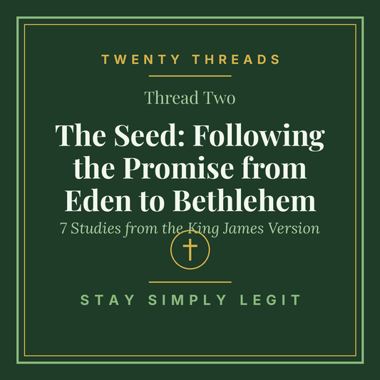 The Seed: Following the Promise from Eden to Bethlehem cover