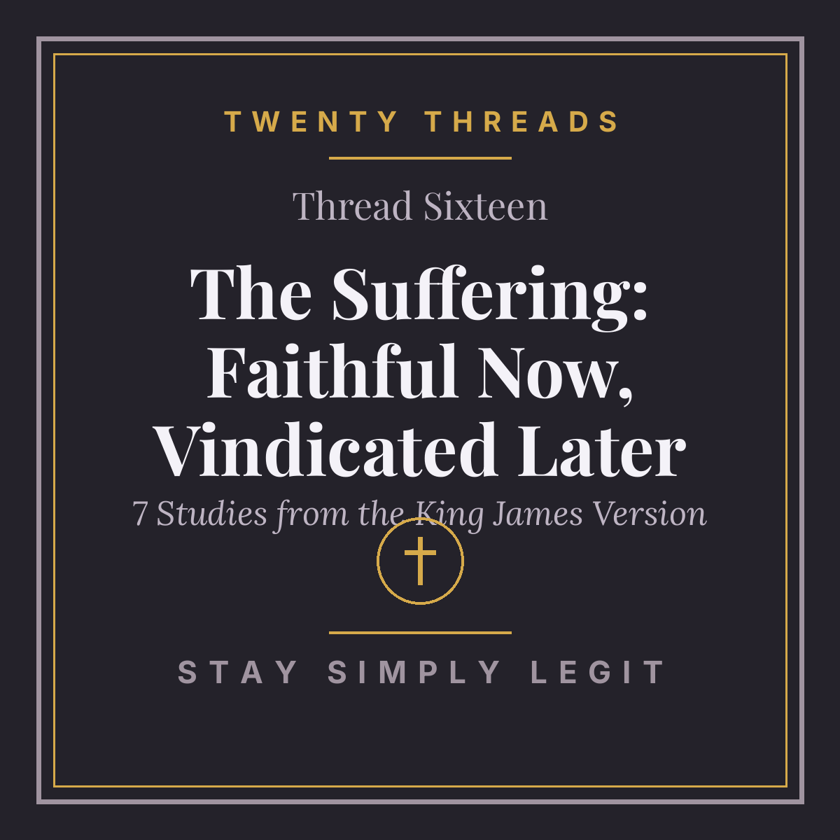 The Suffering: Faithful Now, Vindicated Later cover