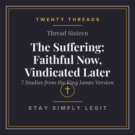 The Suffering: Faithful Now, Vindicated Later cover