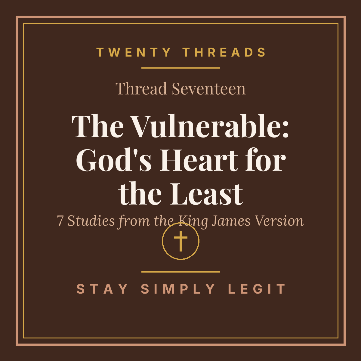 The Vulnerable: God's Heart for the Least cover