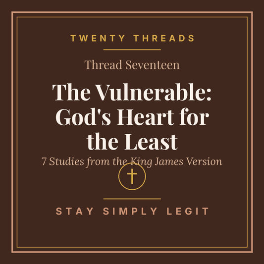 The Vulnerable: God's Heart for the Least cover