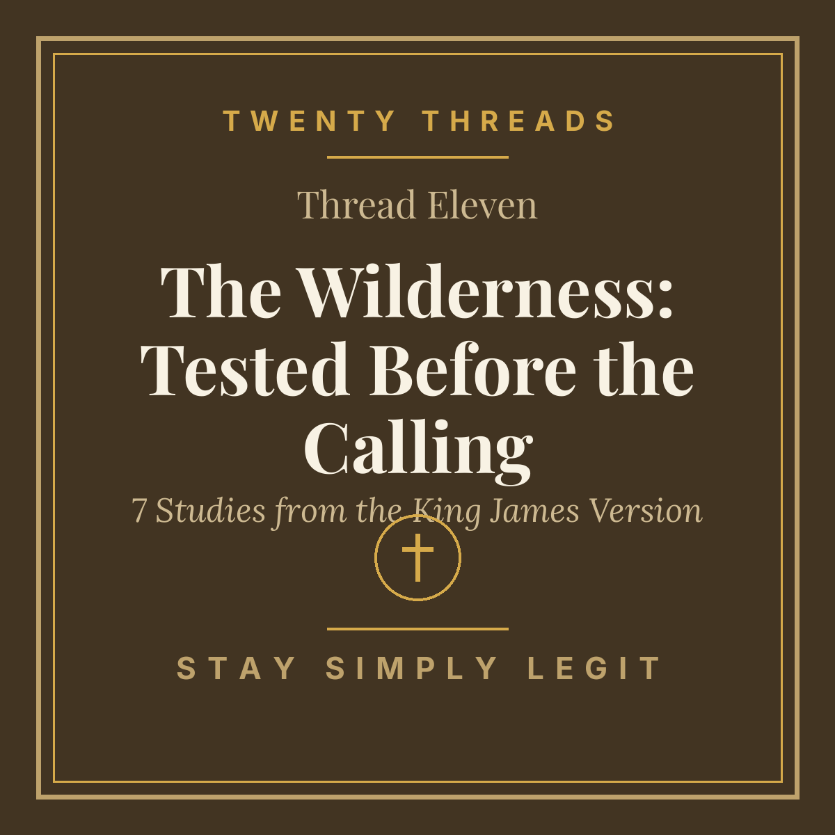 The Wilderness: Tested Before the Calling cover