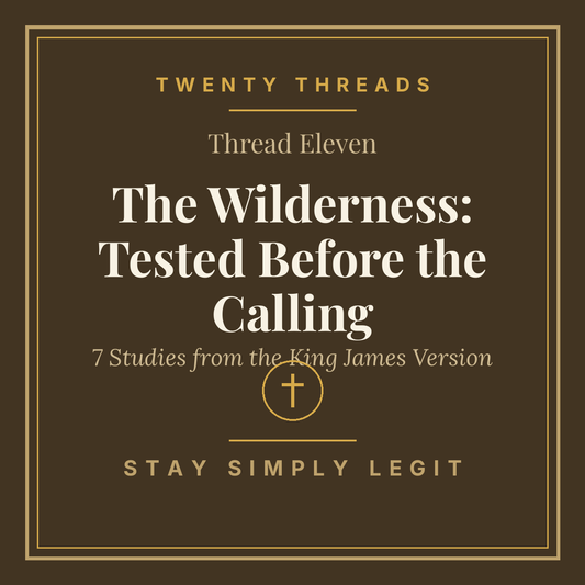 The Wilderness: Tested Before the Calling cover