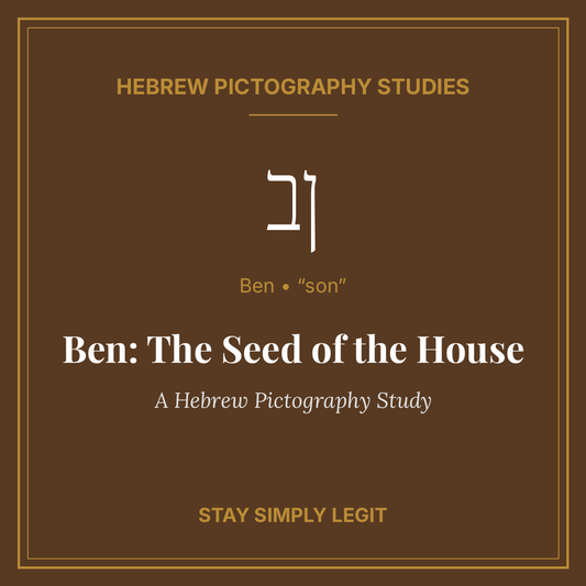 Ben: The Seed of the House — A Hebrew Pictography Study