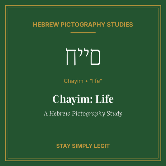 Chayim: Life