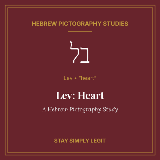 Lev: Heart