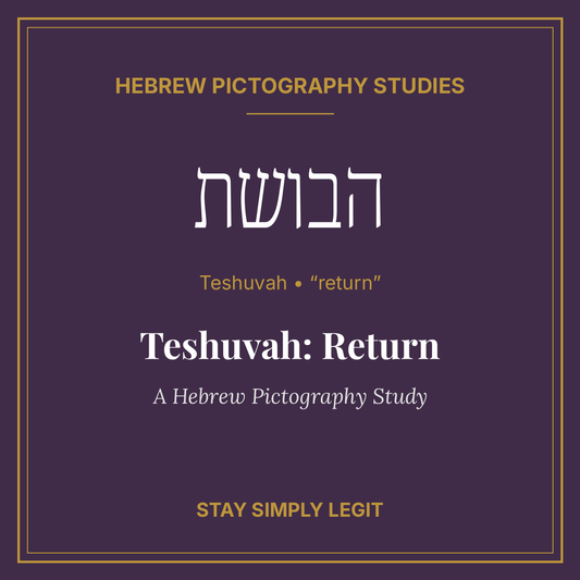 Teshuvah: Return
