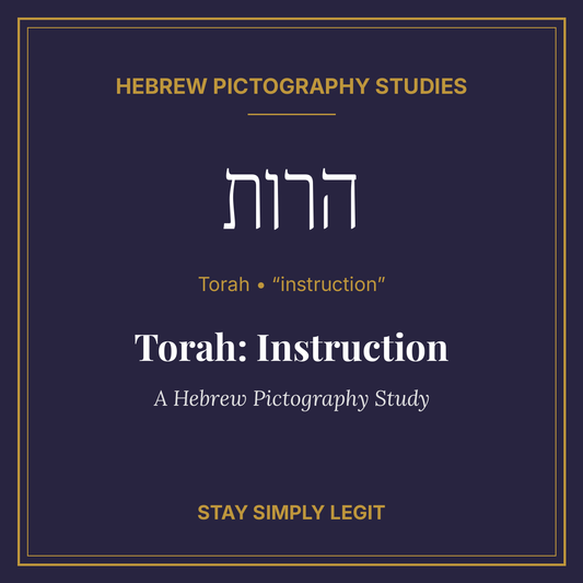Torah: Instruction